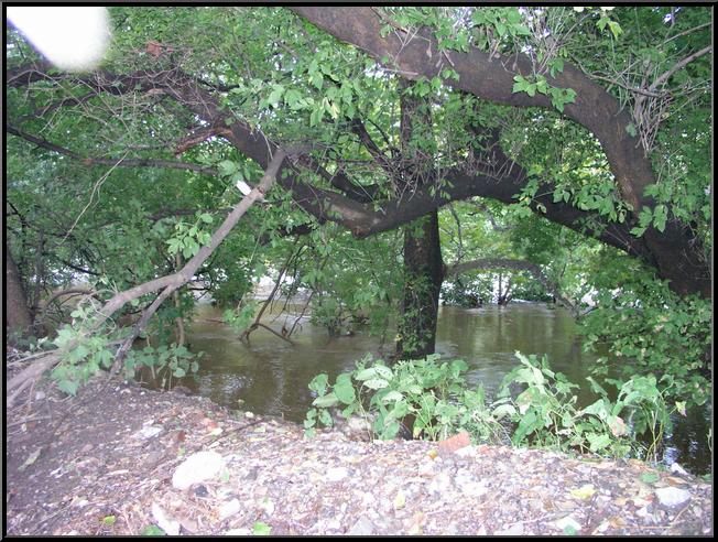 Flood waters at berm on Flat Rock Road