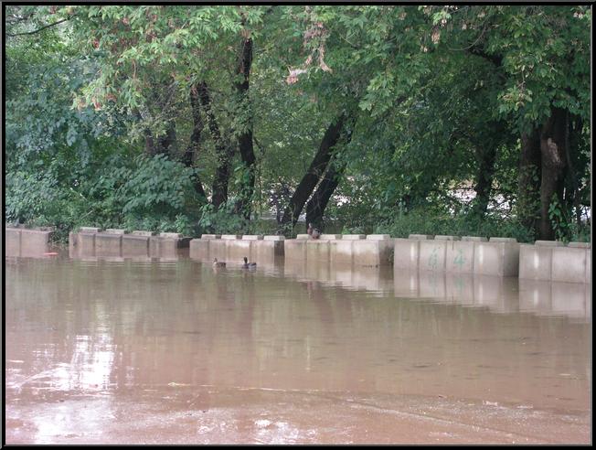 Lock Street parking lot