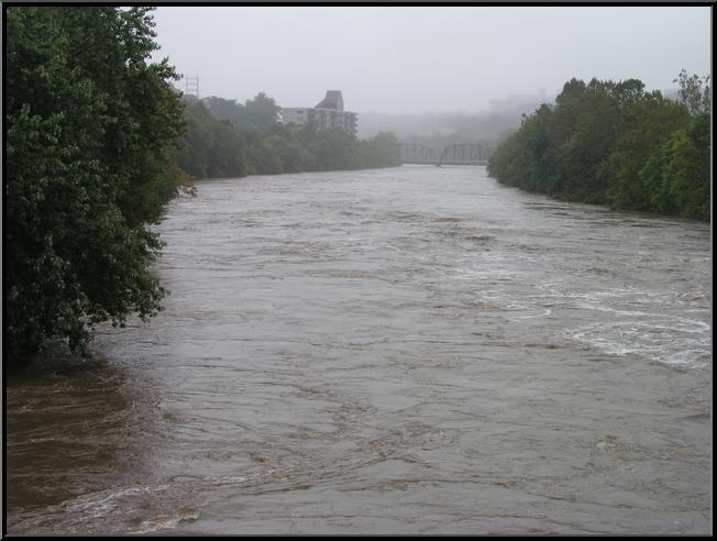 Schuylkill River from Railroad Bridge