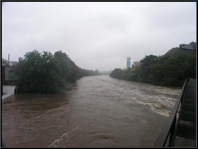 Schuylkill River from Railroad Bridge