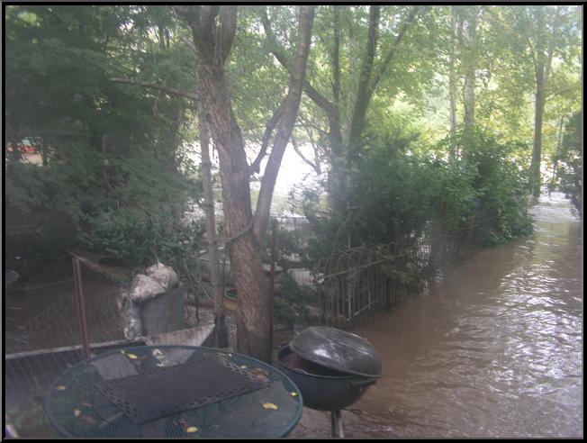 Back Yard of House on 4000 Block of Main