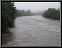 Schuylkill River from Railroad Bridge