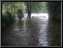 Back Yard of House on 4000 Block of Main