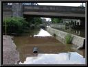 Green Lane Bridge--Canal