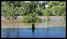 The Locks development -- River behind houses