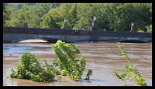 Green Lane bridge from The Locks