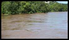 Views from the Green Lane bridge -- Log coming down the river. Fast moving water.