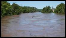 Views from the Green Lane bridge -- Log coming down the river. Fast moving water.