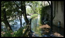 Rector Street and the canal -- Tow path looking north towards Cotton Street.