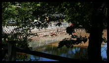 Wissahickon Creek and Ridge Ave (Wissahickon Transfer) -- Debris by bridge