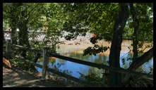 Wissahickon Creek and Ridge Ave (Wissahickon Transfer) -- Debris by bridge