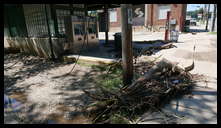 Wissahickon Creek and Ridge Ave (Wissahickon Transfer) -- Debris from Wissahickon Creek overflowing it's banks and over topping the bridge.